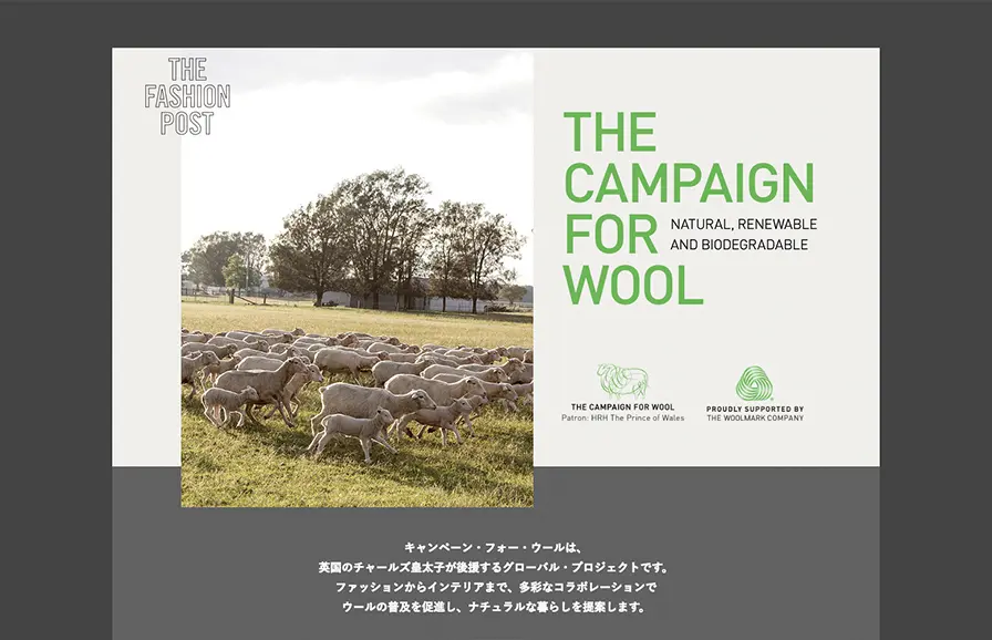 THE CAMPAIGN FOR WOOL Websiteのイメージ写真