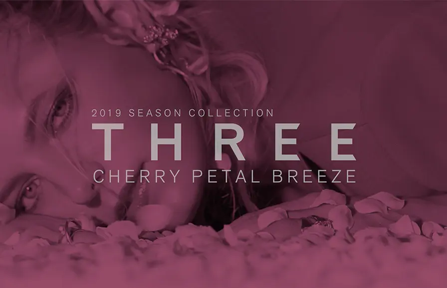 THREE CHERRY PETAL BREEZE 2019 Websiteのイメージ写真