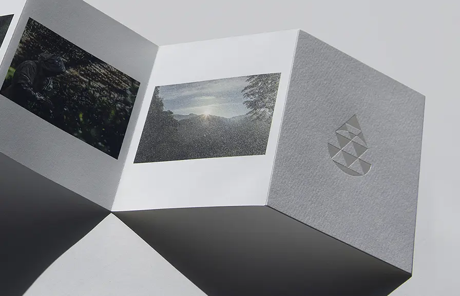 YAME DENTOU HON GYOKURO Leafletのイメージ写真